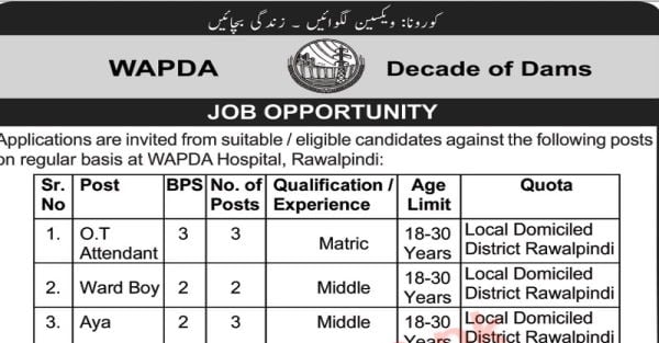 Wapda Jobs For Ot Attendants Ward Boys And Other Pakistan Jobs